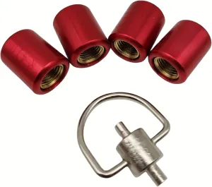 (4) 1/4"" Locking Cap R410 & (1) Universal Locking Cap Tool, Pink