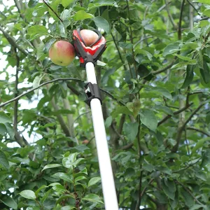 Darlac Telescopic Fruit Grabber - DP116
