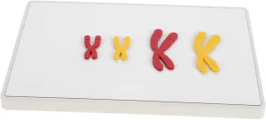 Detailed Model Fraction Educational Biology Teaching Change Models School Supplies