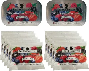 Dr Sugar Free Soft Fruit Pastilles for Voice and Throat, Wild Berries Flavor, Multipack of 2.12 Ounce Tin, 2 Pack and .33 Ounce Travel Size Bag, 10 Pack