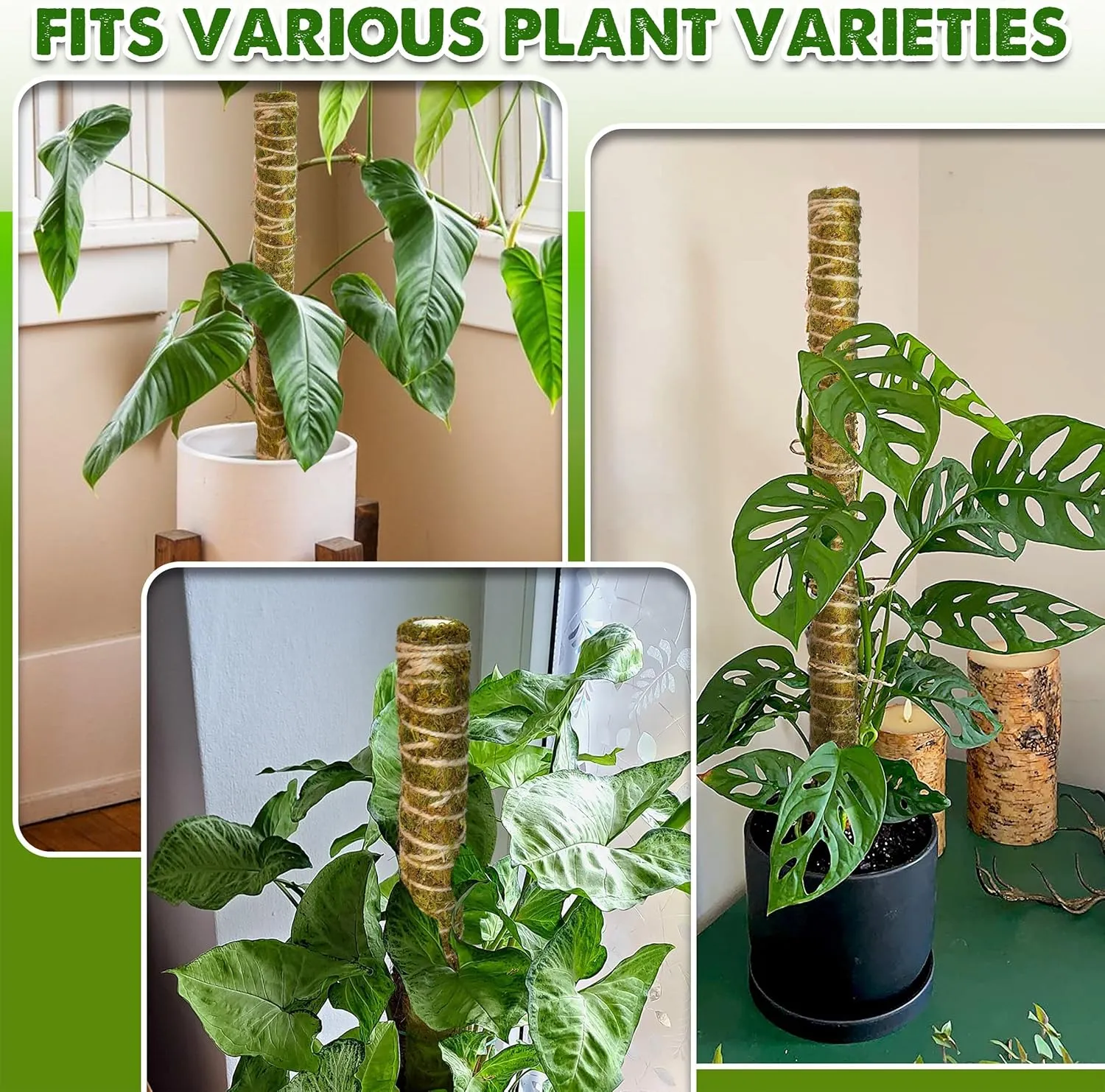 DUSPRO Natural Stackable Moss Pole for Plants Monstera Potted Plant Stakes for Indoor Plants Extendable Plant Pole Moss Sticks for Plants Climbing Vine Supporting Monstera Trellis 10Pcs 22''