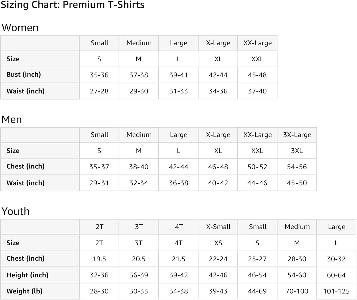 First Ideal Knights Radiant variant 1 Premium T-Shirt