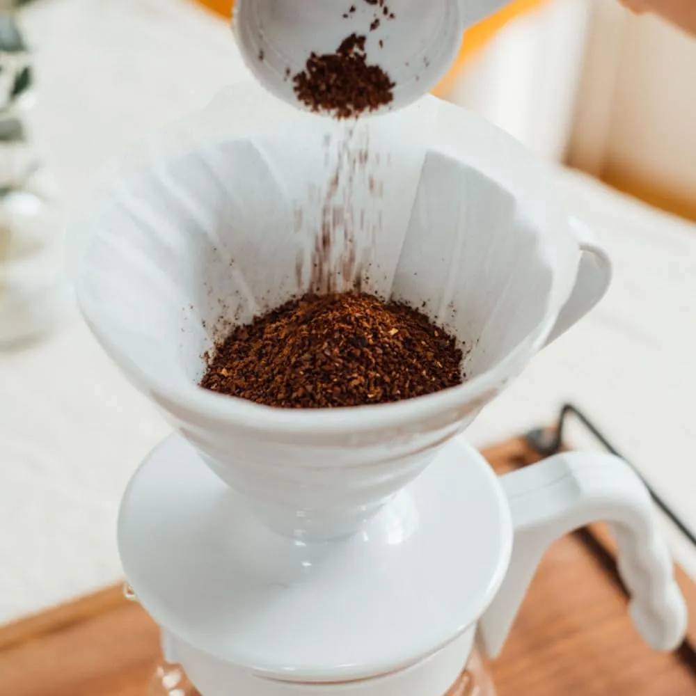 Hario V60 Pour Over Starter Set with Dripper, Glass Server, Scoop and Filters, Size 02, Pale Grey