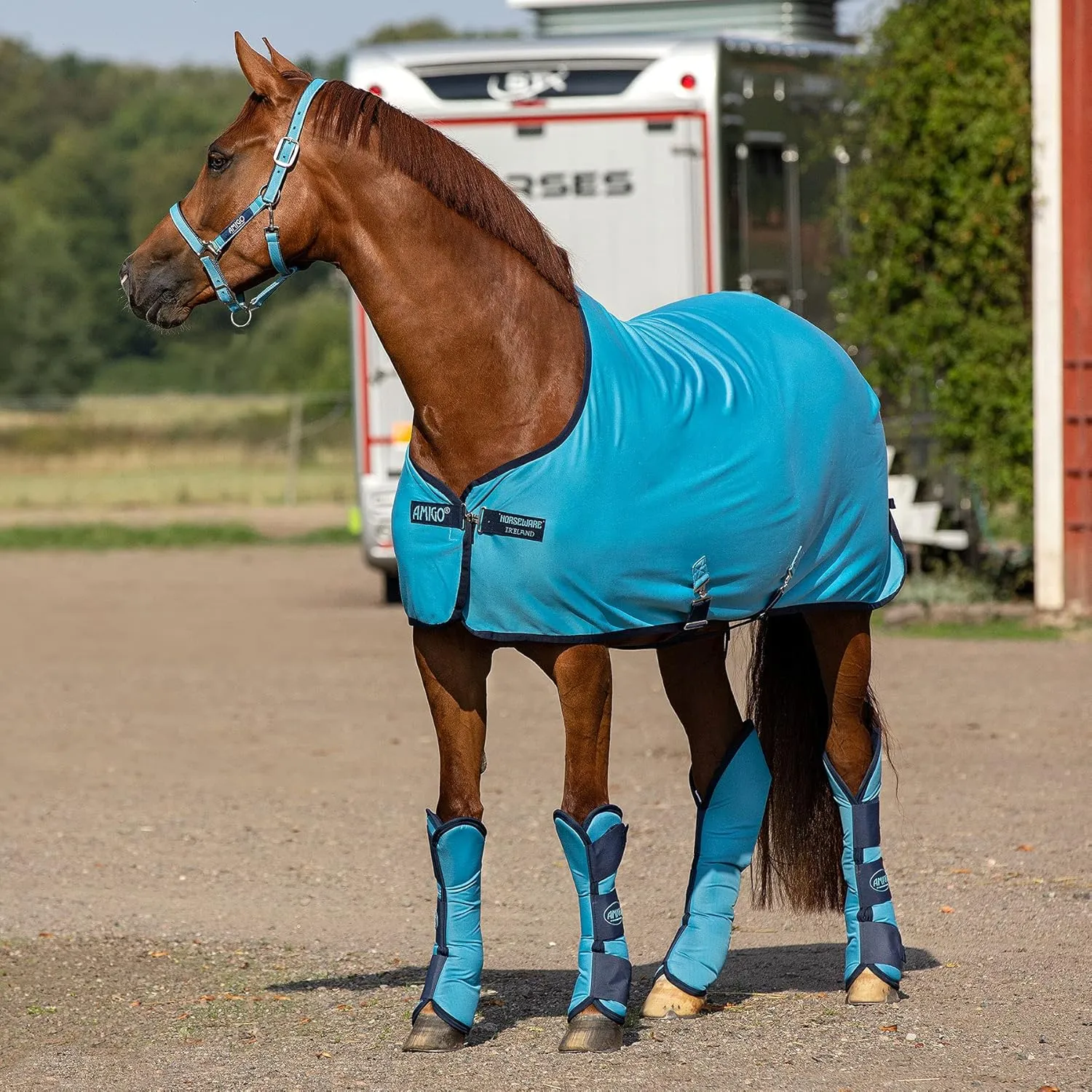 Horseware Ireland Amigo Ripstop Travel Boots, Color: Delphinium Blue/Navy, Size: Pony (DBPT00-DBB0-PY)