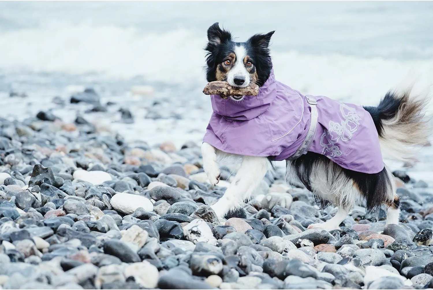 Hurtta Drizzle Coat, Dog Raincoat, Raven, 28 in