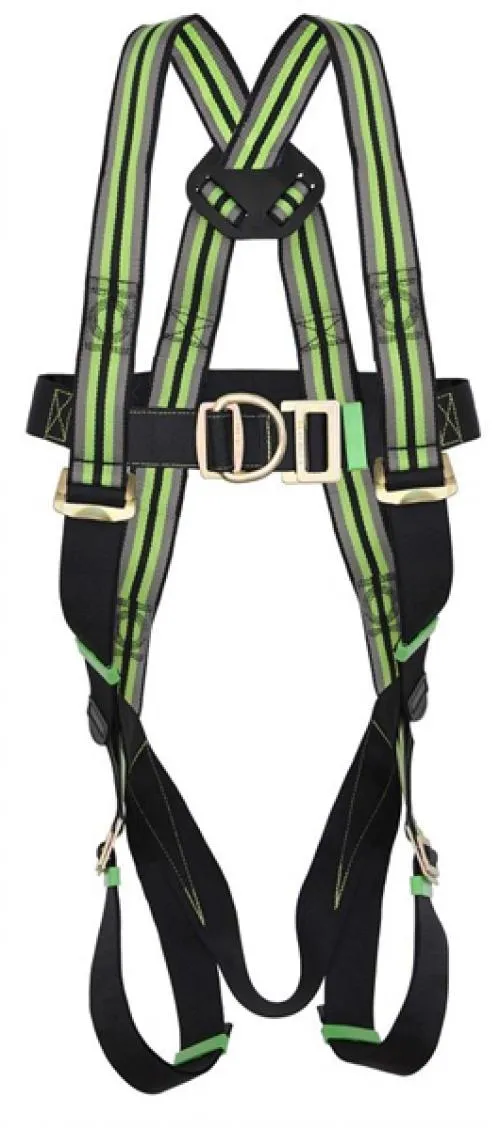 Kratos 2 Point Scaffold Harness Kit
