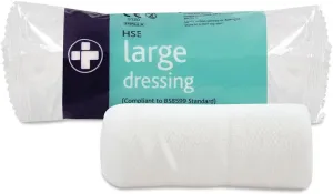 Large HSE Dressing (18 x 18cm)