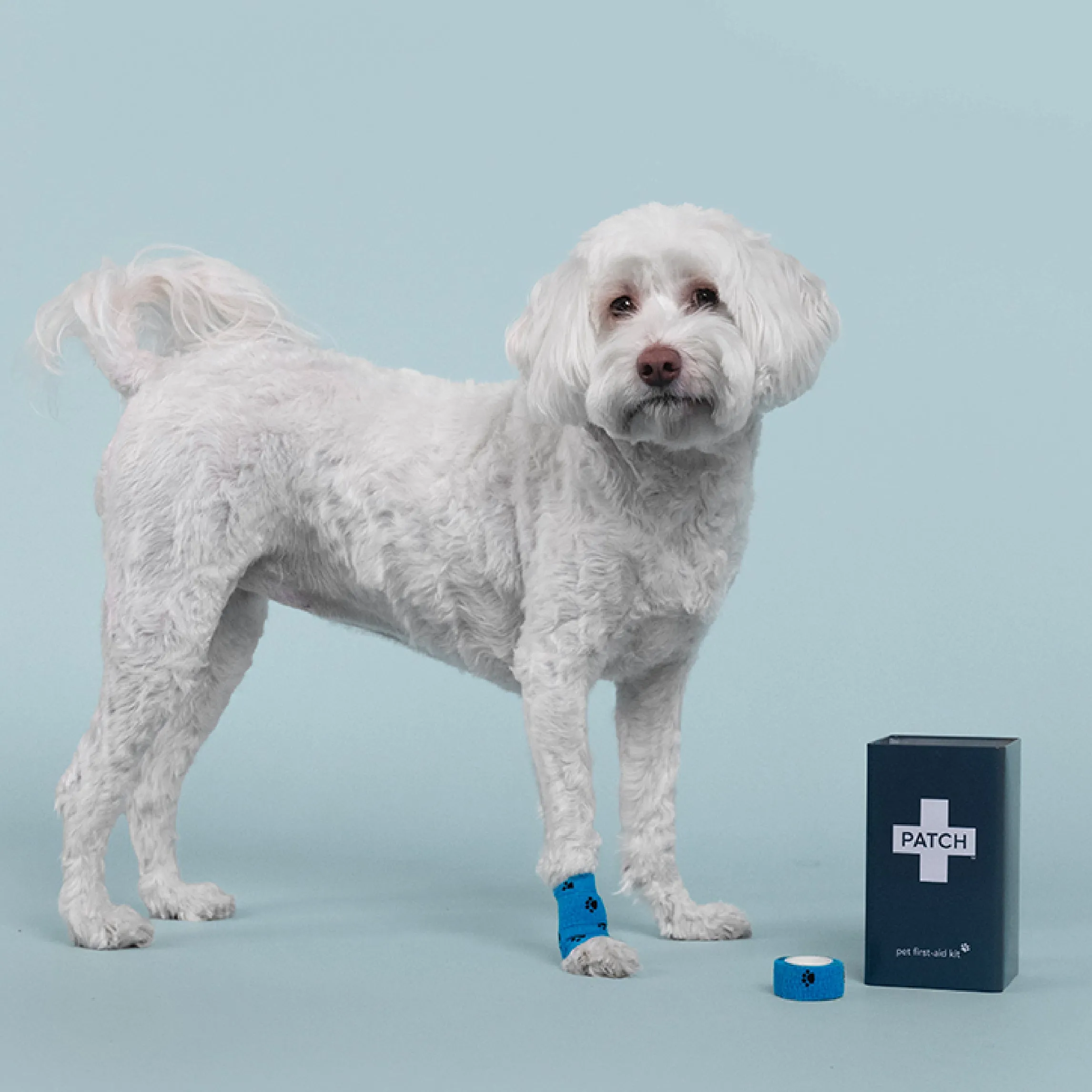 PATCH Pet Eco First-Aid Kit Bundle - First-Aid Kit & Travel Kit
