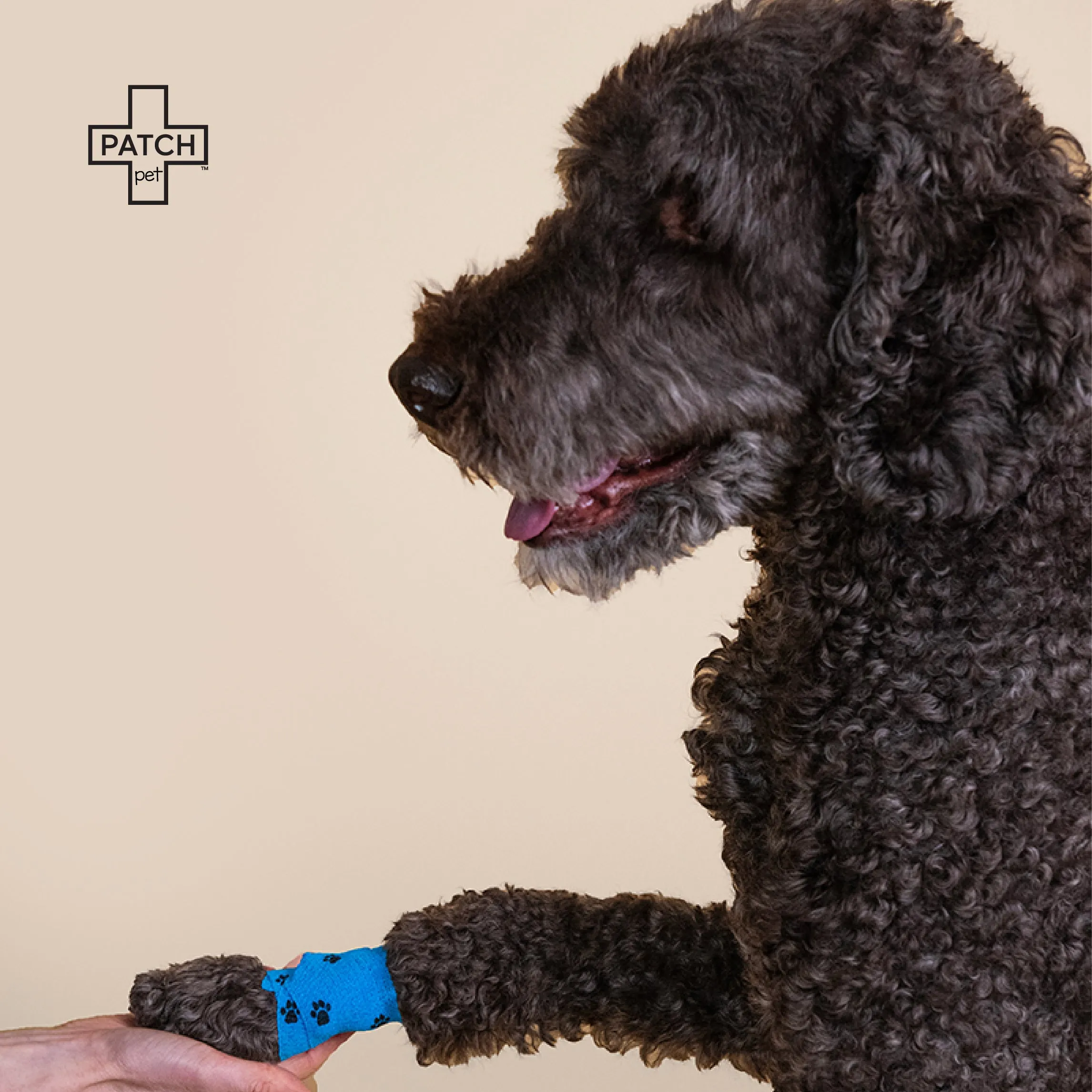 PATCH Pet Eco First-Aid Kit Bundle - First-Aid Kit & Travel Kit