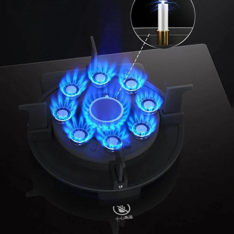 Portable Double Gas Stove - Liftable Cooking Range