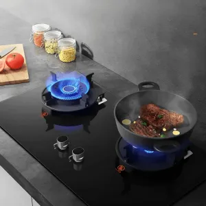 Portable Double Gas Stove - Liftable Cooking Range