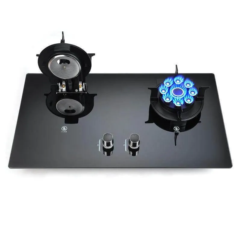 Portable Double Gas Stove - Liftable Cooking Range