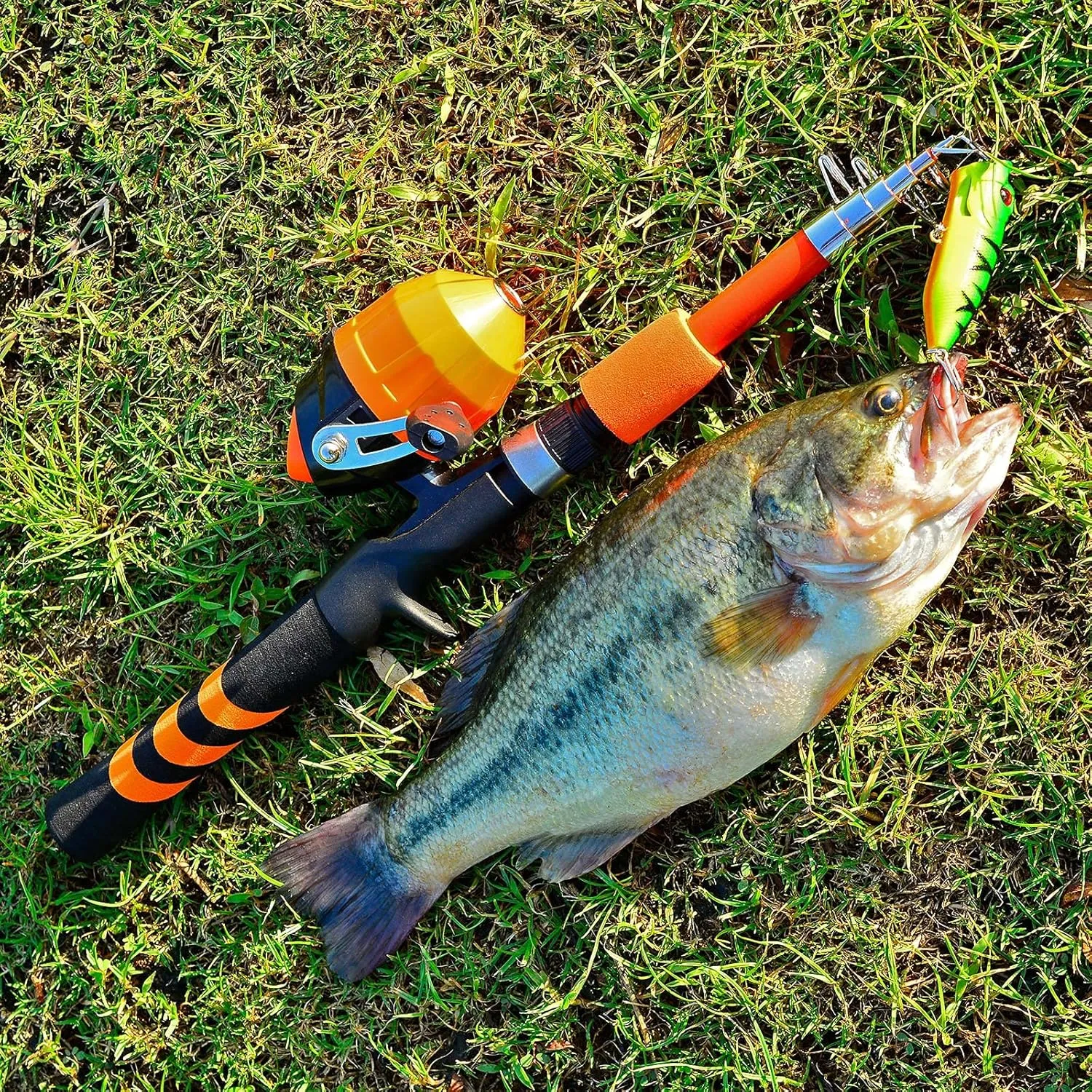 PROBEROS Kids Fishing Pole - Portable Telescopic Fishing Rod and Reel Combo Kit - Spincast Fishing Reel Casting Rods with Lures Lines Tackle Box and Bag for Boys Girls Youth Fishing