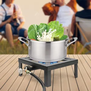 Single Burner Propane Stove, Outdoor Cooking Camping Stove Burner Cast Iron Propane Gas LPG Stove BBQ Cooker & Regulator Hose for Picnics, Hiking, Barbecues