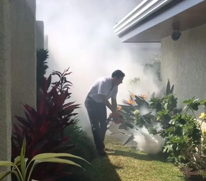 VectorFog BY100 Thermal Fogger